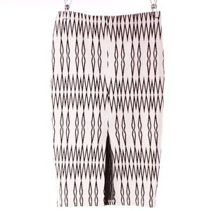 NWT Zara Geo Print Skirt